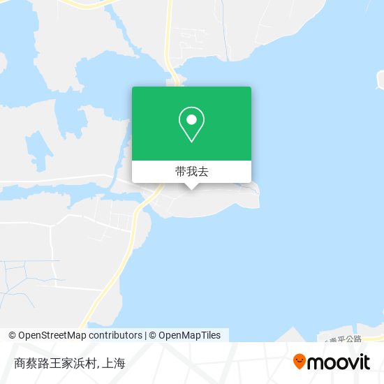 商蔡路王家浜村地图