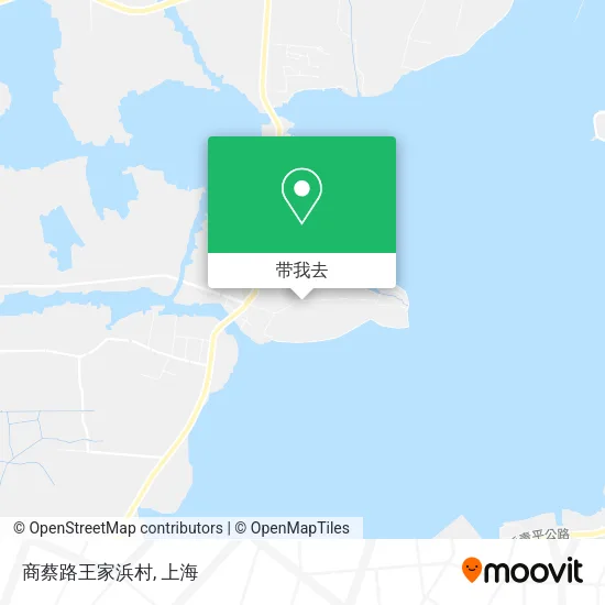 商蔡路王家浜村地图