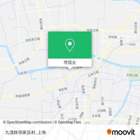九溇路张家浜村地图