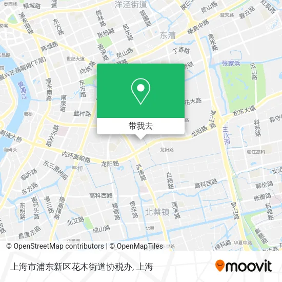 上海市浦东新区花木街道协税办地图
