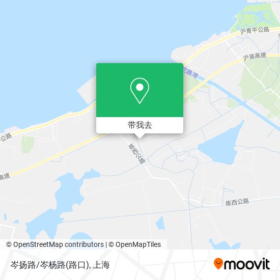 岑扬路/岑杨路(路口)地图