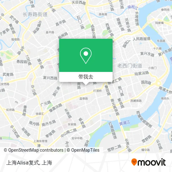 上海Alisa复式地图