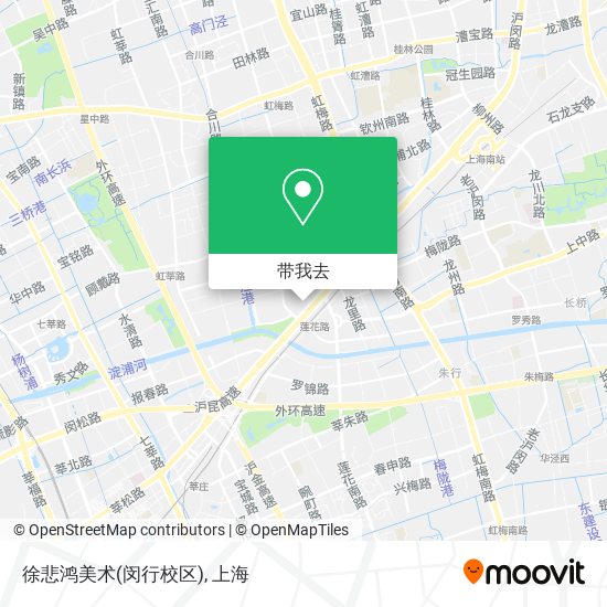 徐悲鸿美术(闵行校区)地图