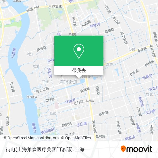 街电(上海莱森医疗美容门诊部)地图