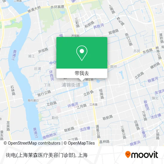 街电(上海莱森医疗美容门诊部)地图