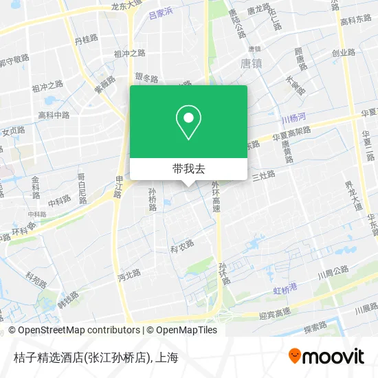 桔子精选酒店(张江孙桥店)地图