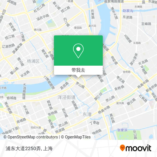 浦东大道2250弄地图