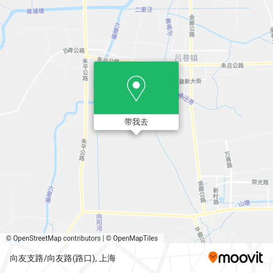 向友支路/向友路(路口)地图