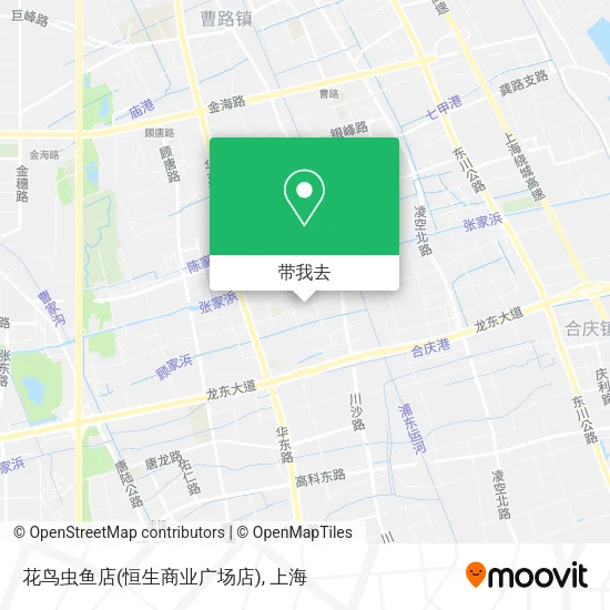 花鸟虫鱼店(恒生商业广场店)地图