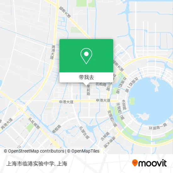 上海市临港实验中学地图