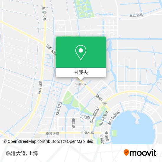 临港大道地图