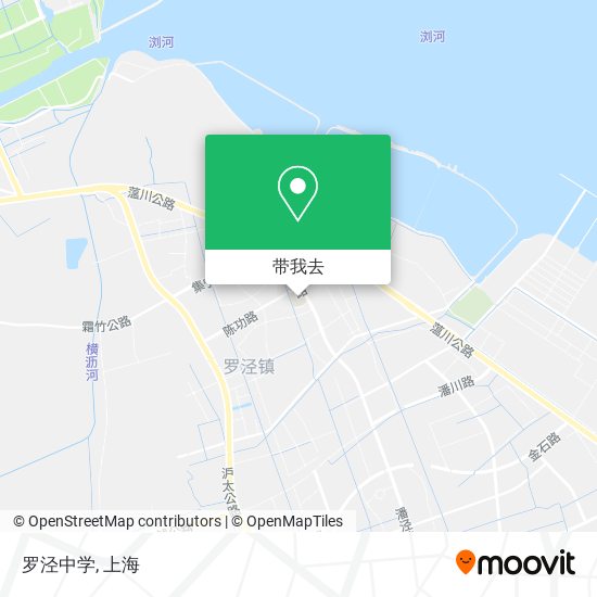 罗泾中学地图