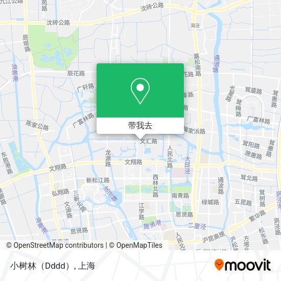 小树林（Dddd）地图