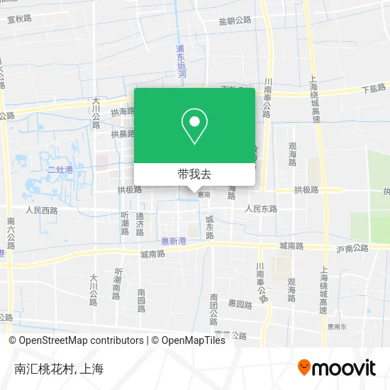 南汇桃花村地图