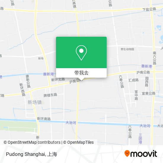 Pudong Shanghai地图