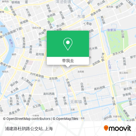 浦建路杜鹃路公交站地图