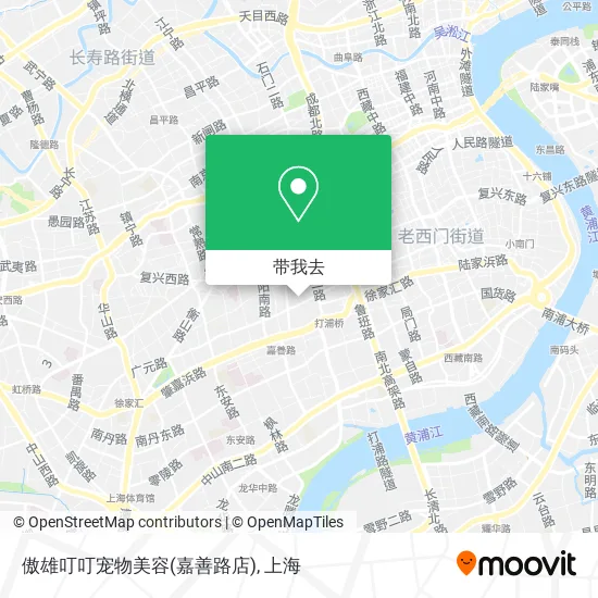 傲雄叮叮宠物美容(嘉善路店)地图