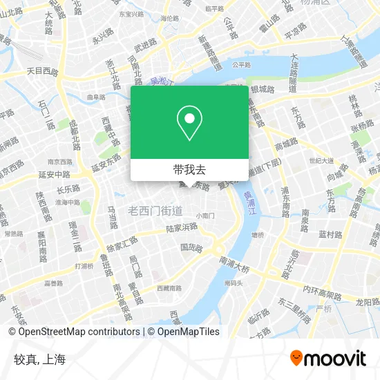 较真地图