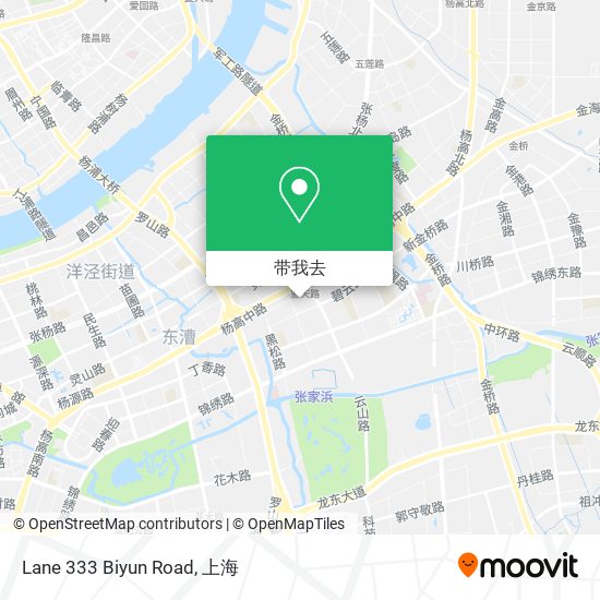 Lane 333 Biyun Road地图