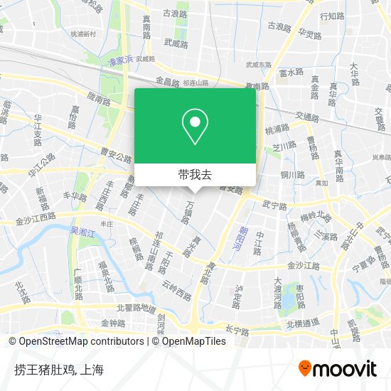 捞王猪肚鸡地图