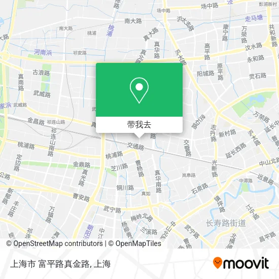上海市 富平路真金路地图