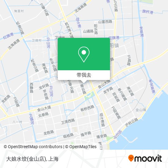 大娘水饺(金山店)地图