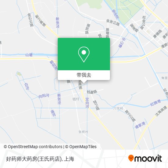 好药师大药房(王氏药店)地图