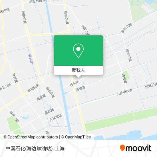 中国石化(海边加油站)地图