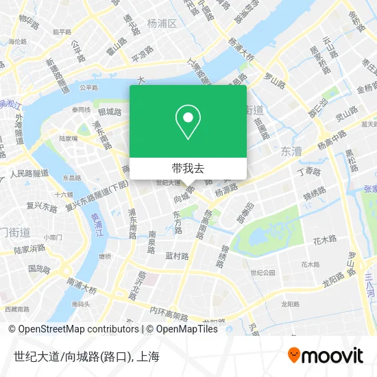 世纪大道/向城路(路口)地图
