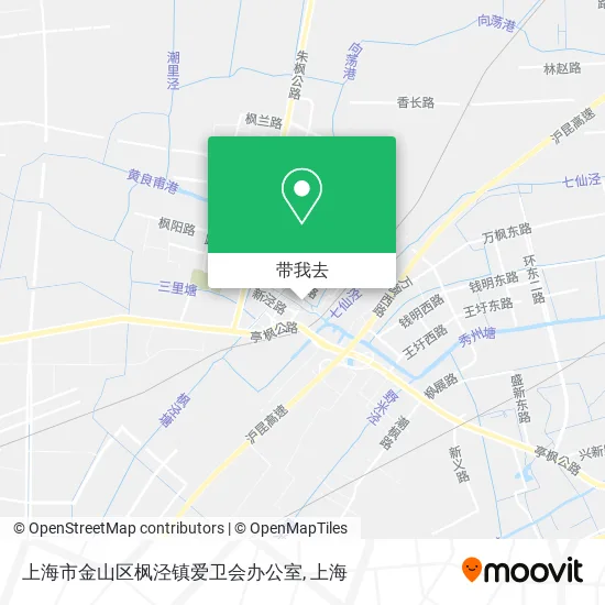 上海市金山区枫泾镇爱卫会办公室地图