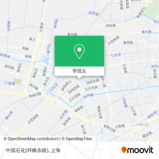 中国石化(环枫东路)地图