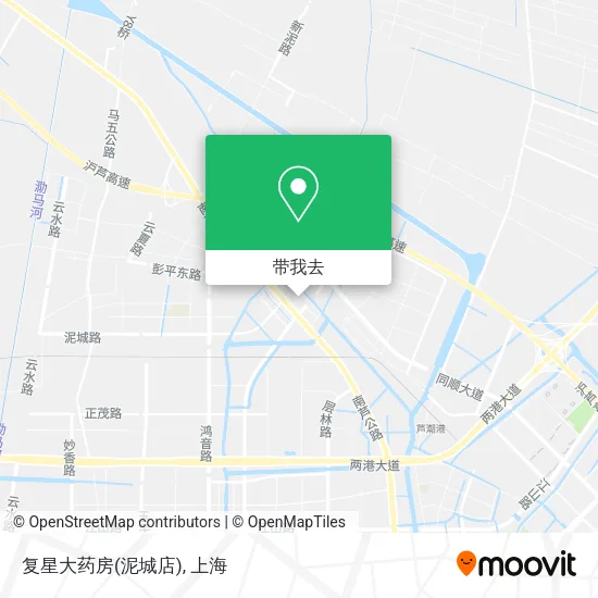 复星大药房(泥城店)地图