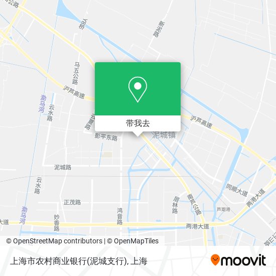 上海市农村商业银行(泥城支行)地图