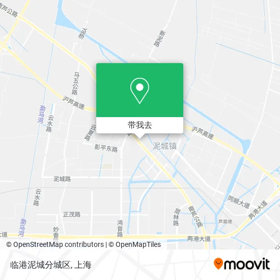 临港泥城分城区地图