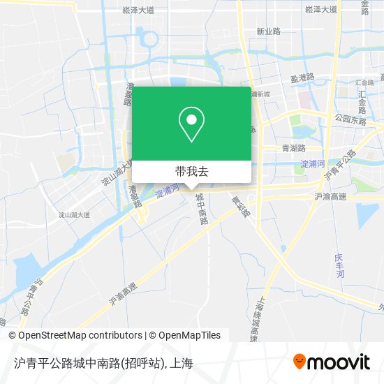 沪青平公路城中南路(招呼站)地图