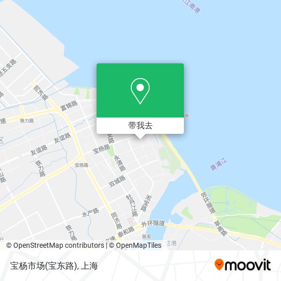 宝杨市场(宝东路)地图