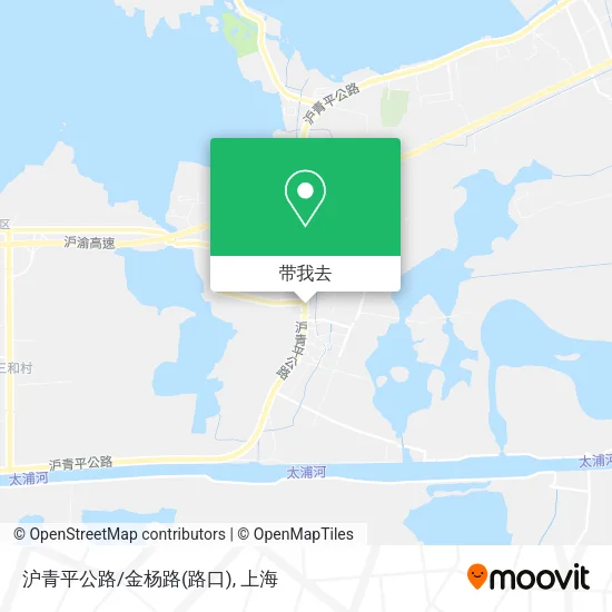 沪青平公路/金杨路(路口)地图