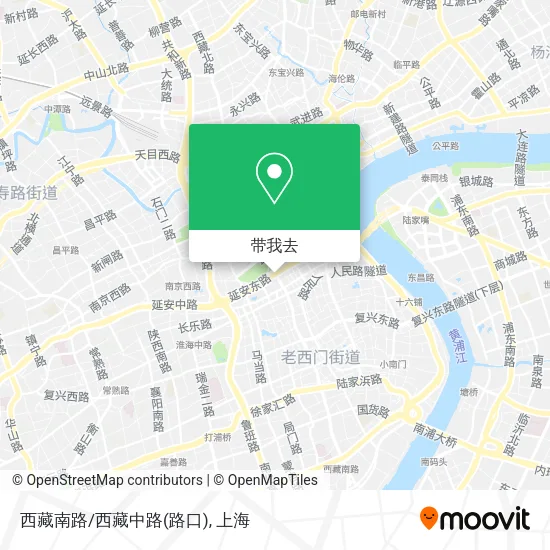 西藏南路/西藏中路(路口)地图