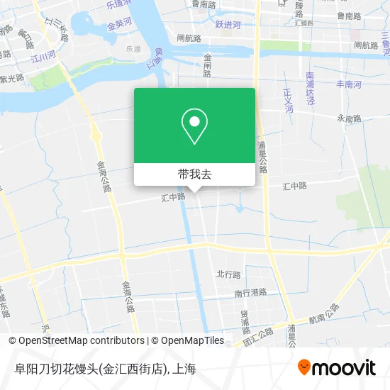 阜阳刀切花馒头(金汇西街店)地图