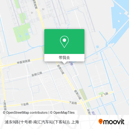 浦东9路(十号桥-南汇汽车站(下客站))地图