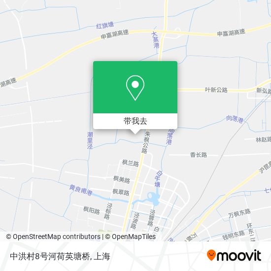 中洪村8号河荷英塘桥地图