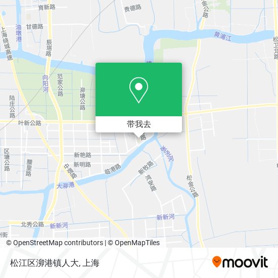 松江区泖港镇人大地图