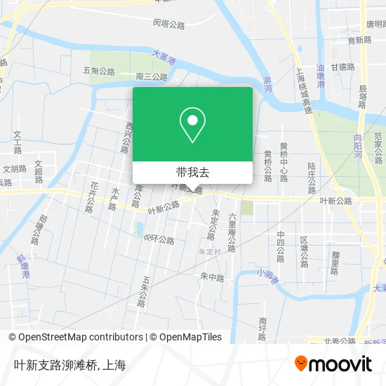 叶新支路泖滩桥地图