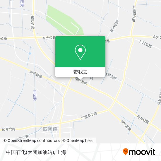 中国石化(大团加油站)地图