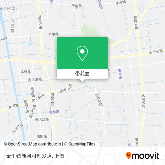 金汇镇新强村理发店地图