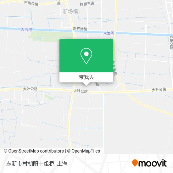 东新市村朝阳十组桥地图