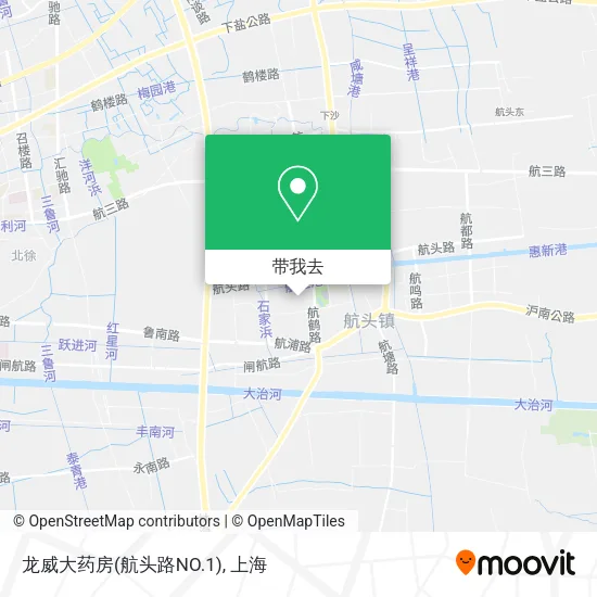 龙威大药房(航头路NO.1)地图