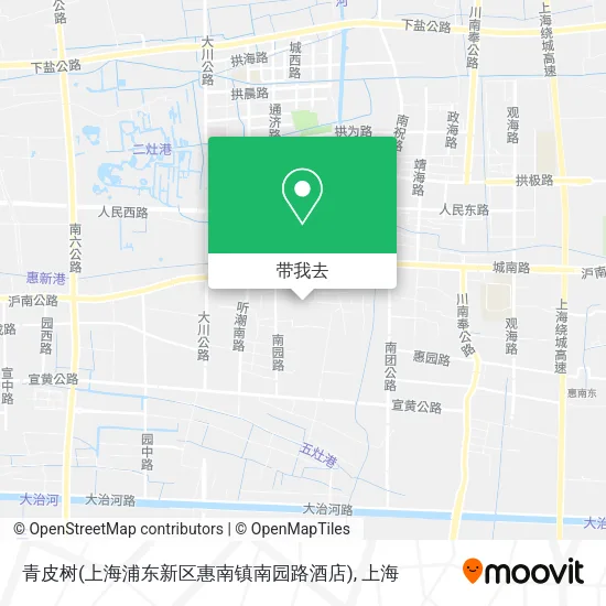 青皮树(上海浦东新区惠南镇南园路酒店)地图