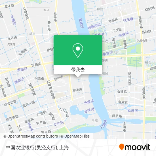 中国农业银行(吴泾支行)地图