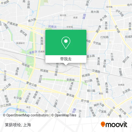 莱荫喷绘地图